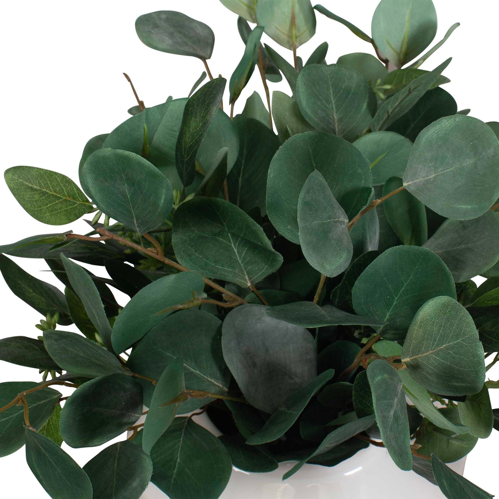 Essence Eucalyptus Green/White Accent & Vase
