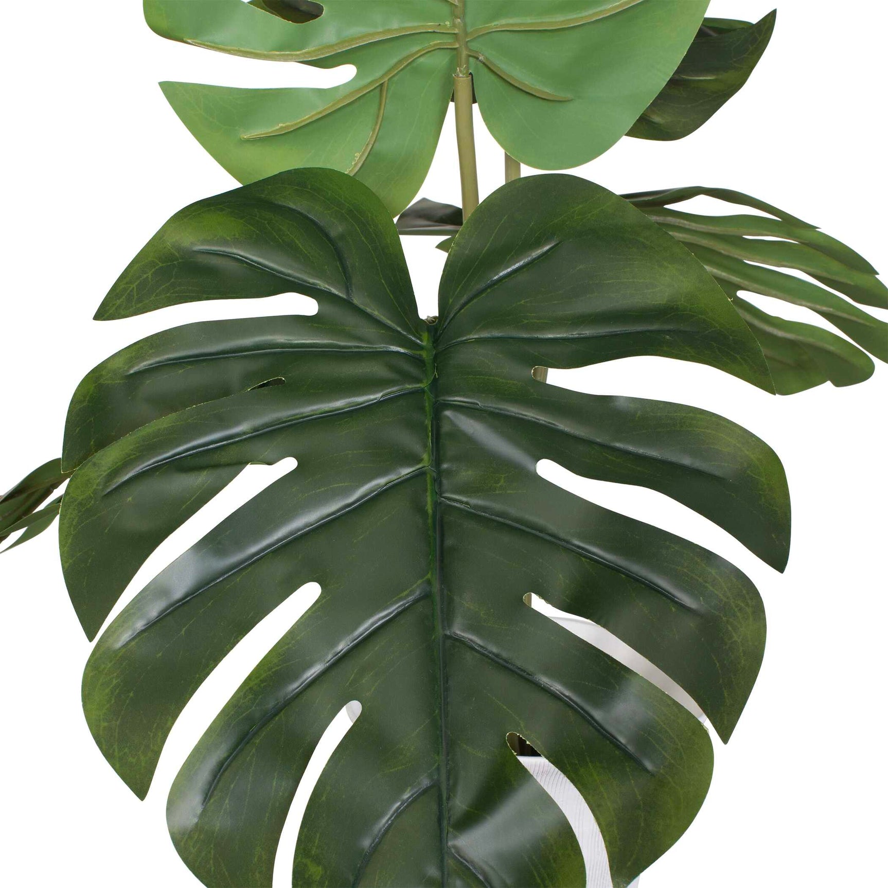 Muse White Monstera Vase Centerpiece