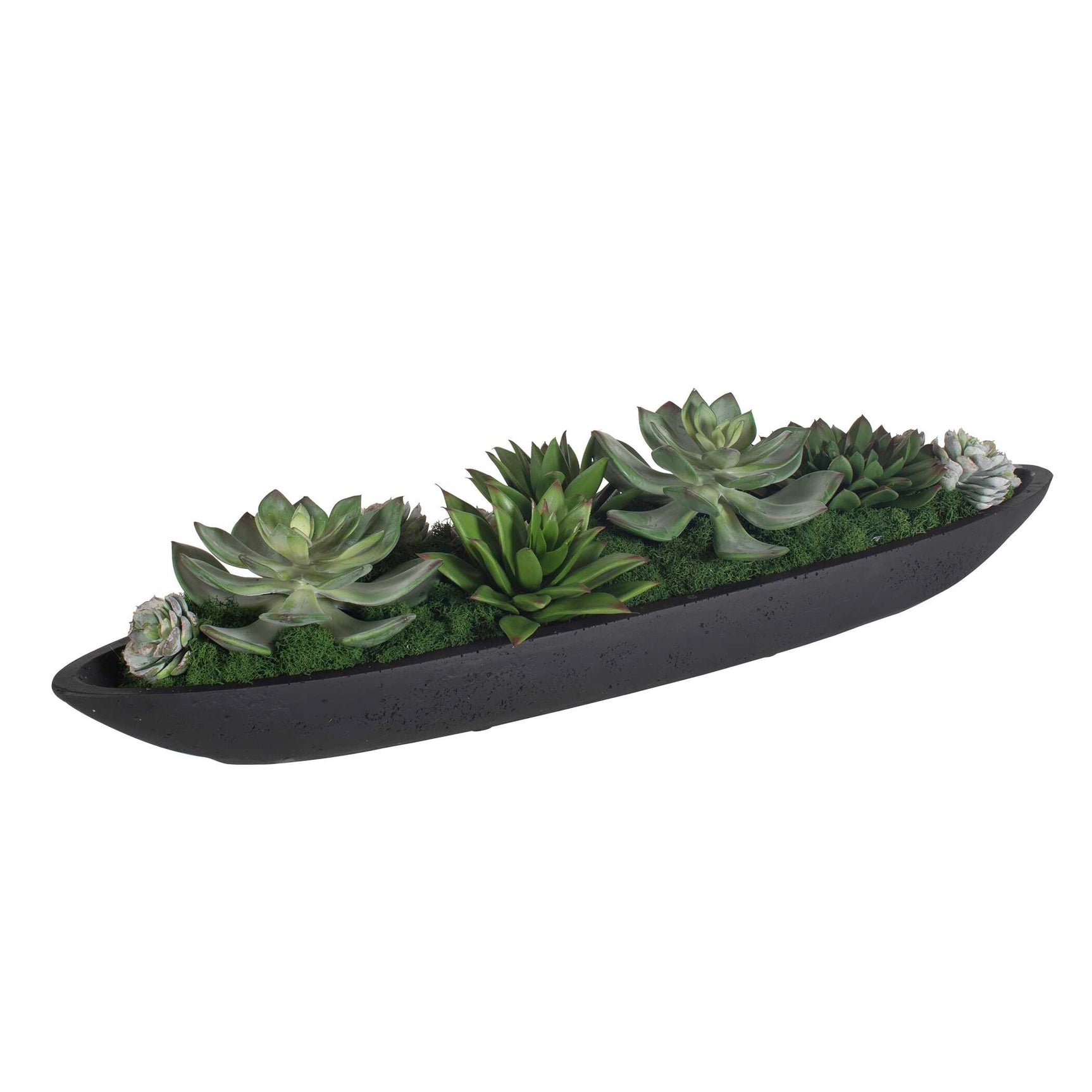 Verde Black/Green Succulent Centerpiece In Bowl