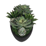 Verde Black/Green Succulent Centerpiece In Bowl