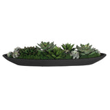 Verde Black/Green Succulent Centerpiece In Bowl