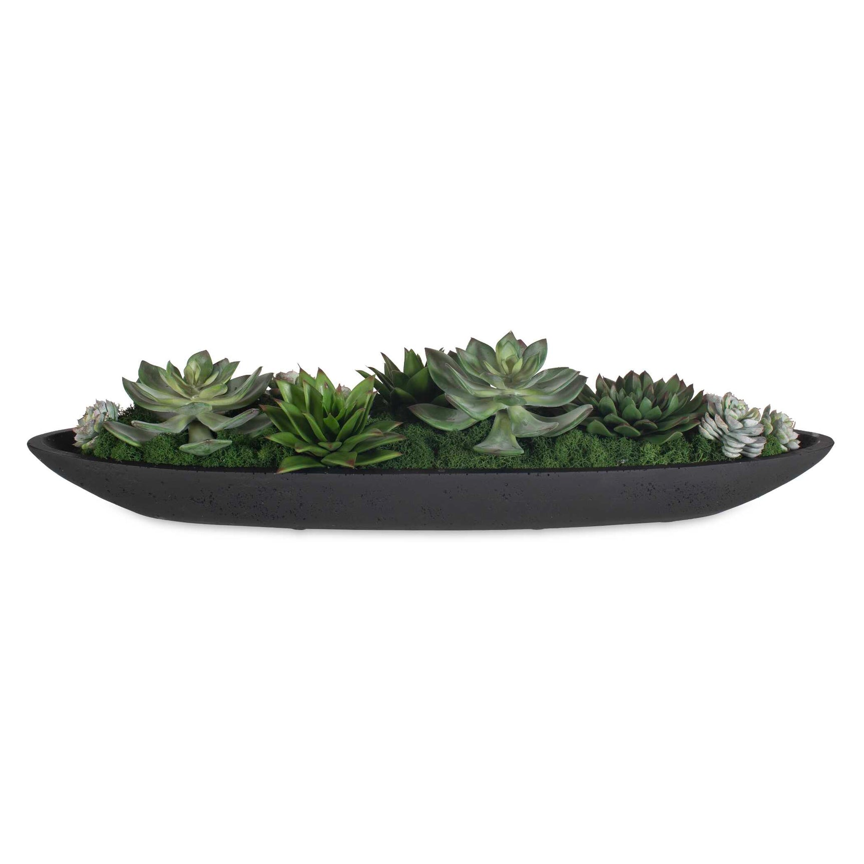 Verde Black/Green Succulent Centerpiece In Bowl