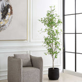 Boreal Birch Potted Tree