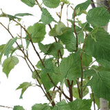 Boreal Birch Potted Tree