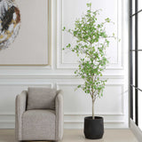 Boreal Birch Potted Tree