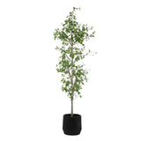 Boreal Birch Potted Tree