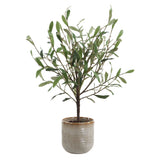 Solea Olive Brown/Green Accent & Textured Vase