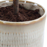 Solea Olive Brown/Green Accent & Textured Vase
