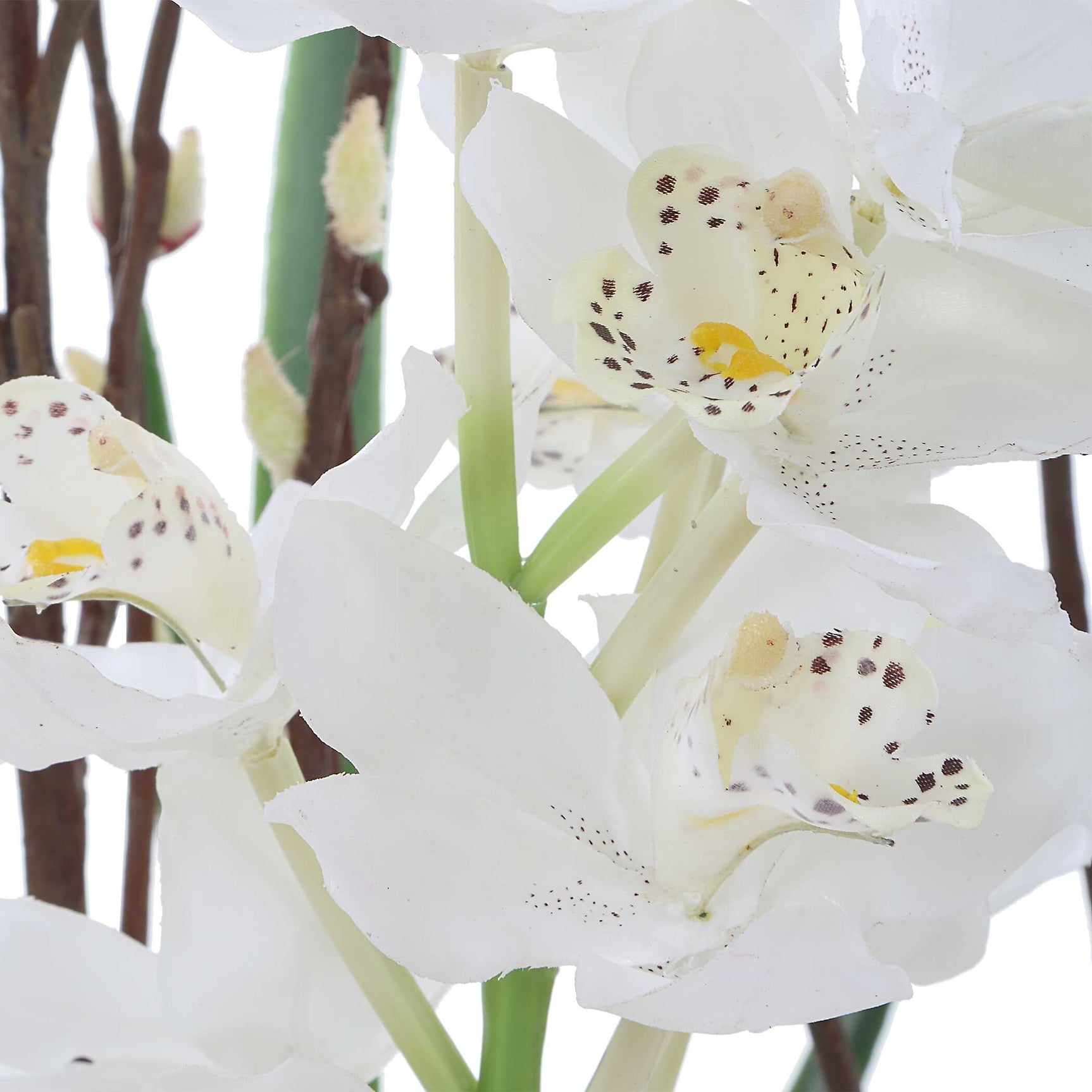 Eterna Orchid Black/Green/White Centerpiece & Vase