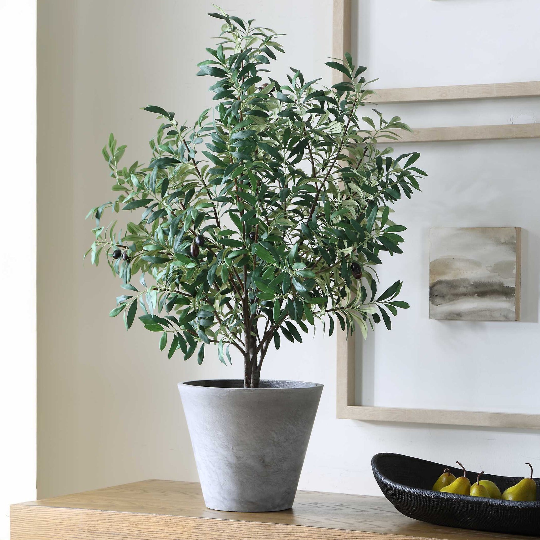 Marisol Olive Potted Plant