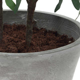 Marisol Olive Potted Plant