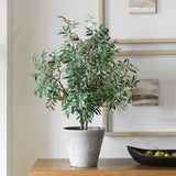 Marisol Olive Potted Plant