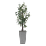Sonora Olive Gray/Green Tree In Planter