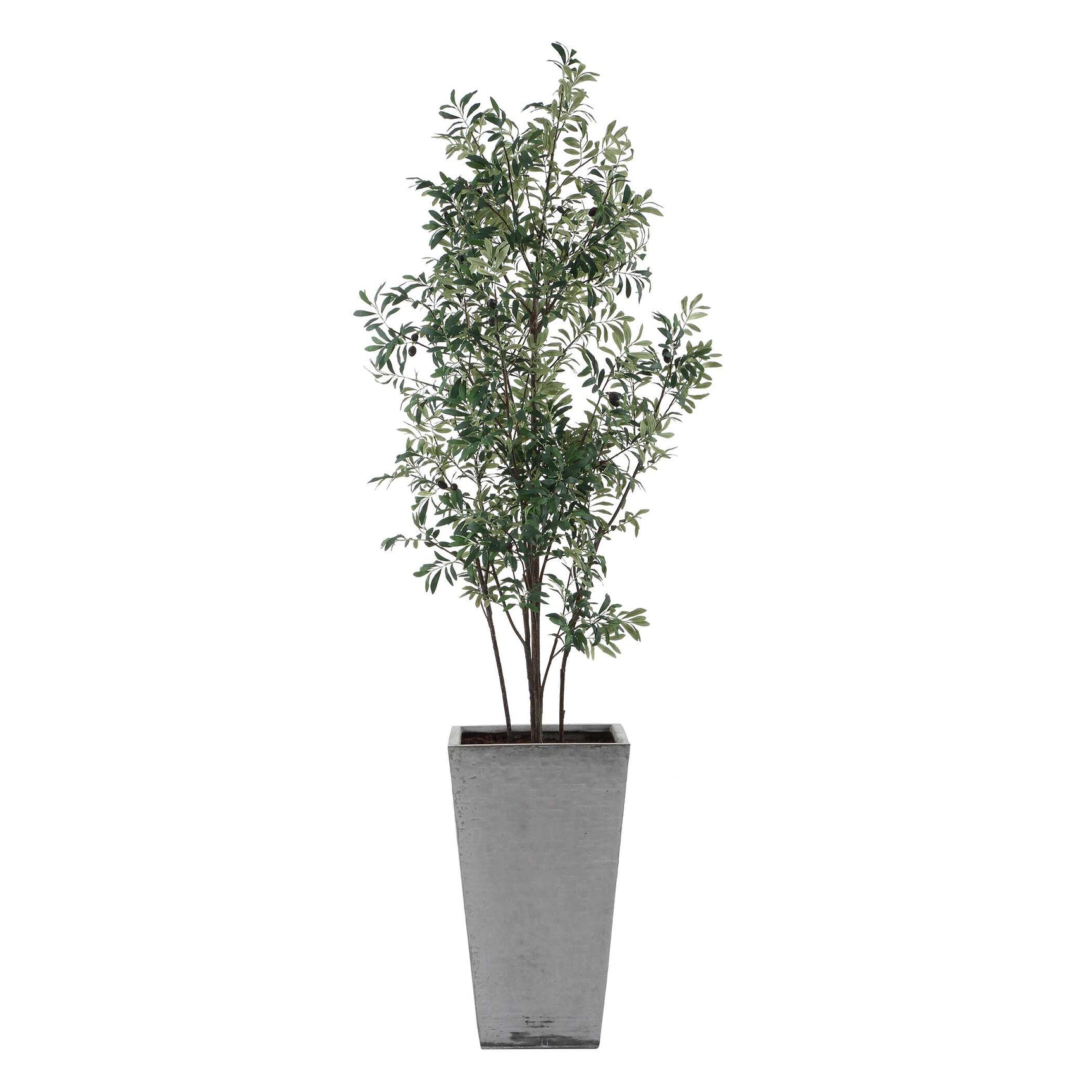 Sonora Olive Gray/Green Tree In Planter