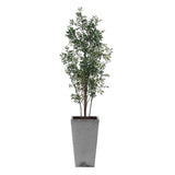 Sonora Olive Gray/Green Tree In Planter