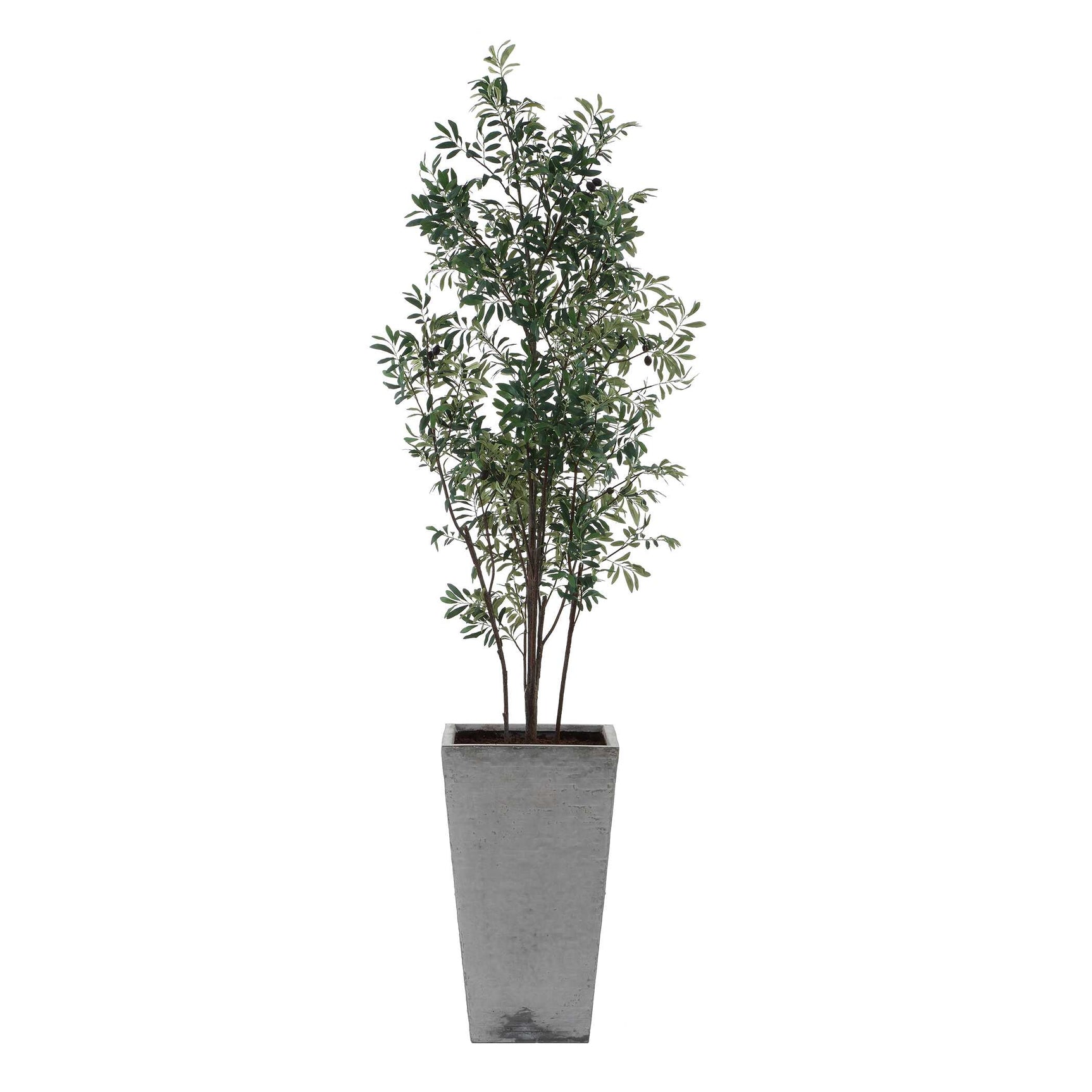 Sonora Olive Gray/Green Tree In Planter