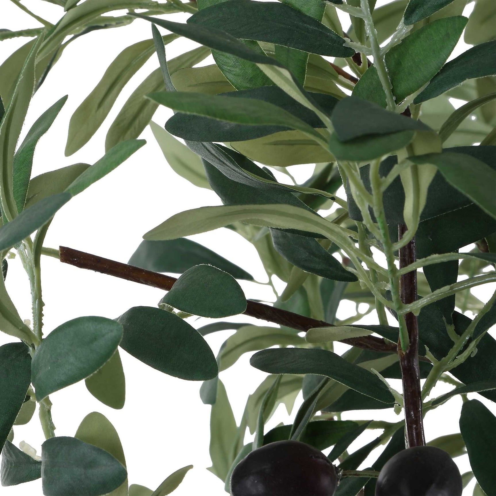 Sonora Olive Gray/Green Tree In Planter