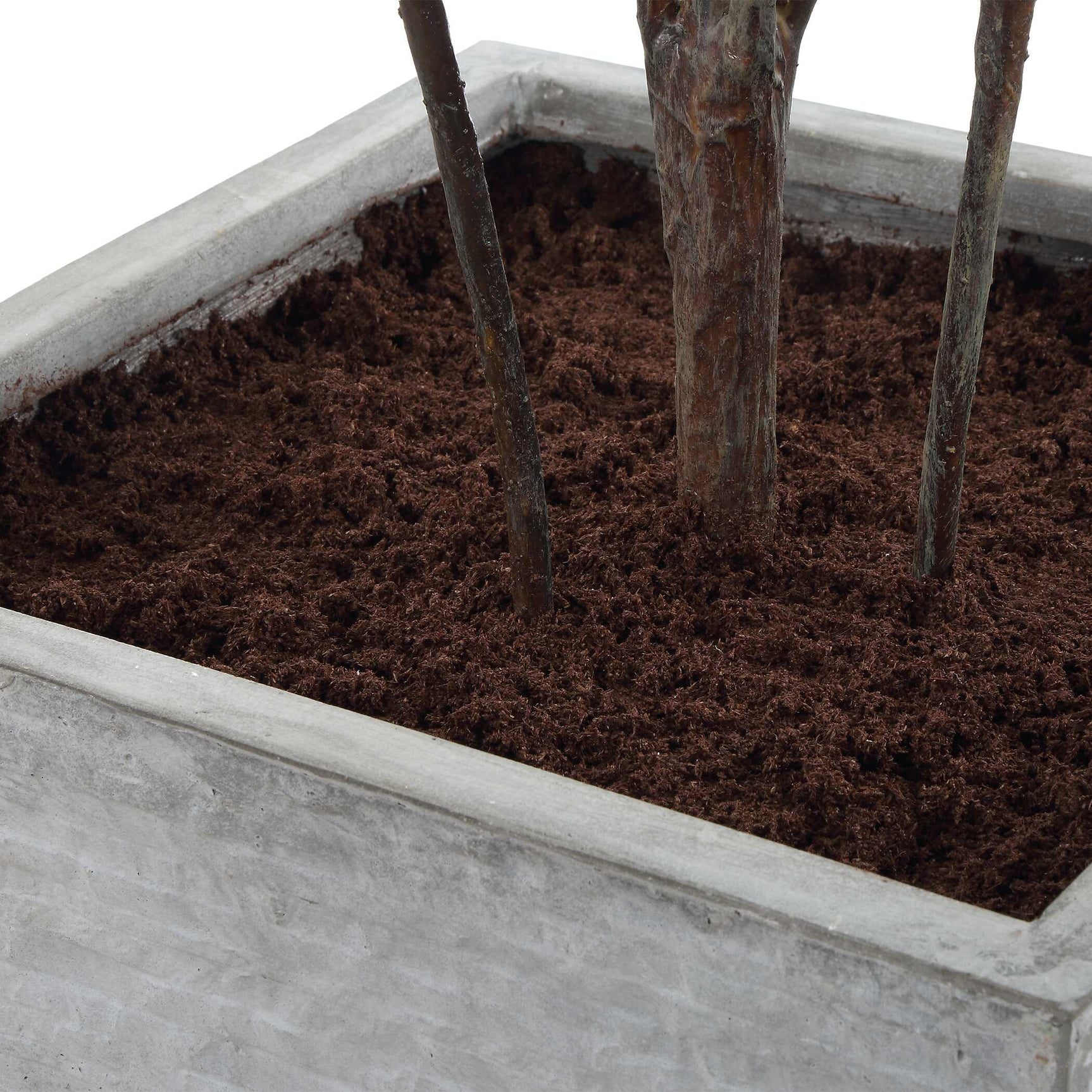 Sonora Olive Gray/Green Tree In Planter