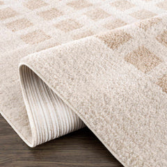 Baback Beige Washable Area Rug - Ornate Home