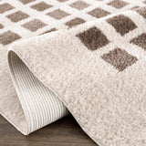 Baback Brown Washable Area Rug - Ornate Home
