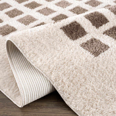 Baback Brown Washable Area Rug - Ornate Home