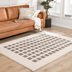 Baback Charcoal Washable Area Rug - Ornate Home