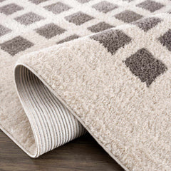 Baback Charcoal Washable Area Rug - Ornate Home