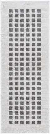 Baback Charcoal Washable Area Rug - Ornate Home