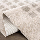 Baback Gray Washable Area Rug - Ornate Home