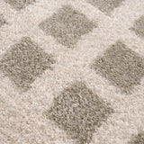 Baback Gray Washable Area Rug - Ornate Home