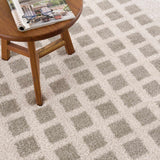 Baback Gray Washable Area Rug - Ornate Home
