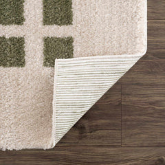 Baback Green Washable Area Rug - Ornate Home