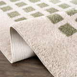 Baback Green Washable Area Rug - Ornate Home