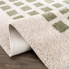 Baback Green Washable Area Rug - Ornate Home