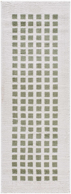Baback Green Washable Area Rug - Ornate Home