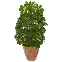 Baby Schefflera Artificial Plant in Terra Cotta Planter (Real Touch) - Ornate Home