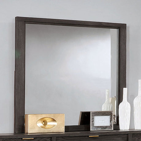 Bailey Dark Gray Mirror - Ornate Home