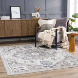 Bakir Area Rug - Clearance - Ornate Home