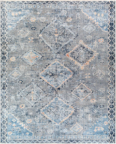 Balamban Area Rug - Clearance - Ornate Home