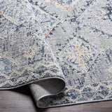 Balamban Area Rug - Clearance - Ornate Home