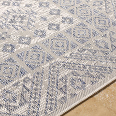 Balarim Indoor & Outdoor Rug - Clearance - Ornate Home