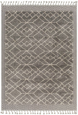 Ballybunnion Area Rug - Clearance - Ornate Home