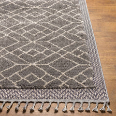 Ballybunnion Area Rug - Clearance - Ornate Home
