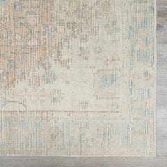 Baloy Vintage Washable Rug - Clearance - Ornate Home