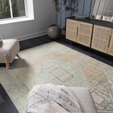 Baloy Vintage Washable Rug - Clearance - Ornate Home
