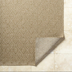 Bandit Brown Outdoor Area Rug - Ornate Home