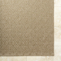 Bandit Brown Outdoor Area Rug - Ornate Home