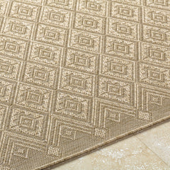 Bandit Brown Outdoor Area Rug - Ornate Home