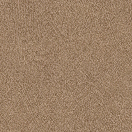 Bandon Toffee 2-pc Sectional - Ornate Home