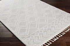 Bansalan Area Rug - Clearance - Ornate Home